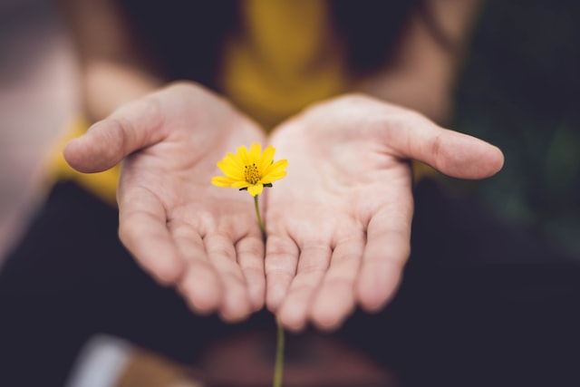 Image of hands holding flower